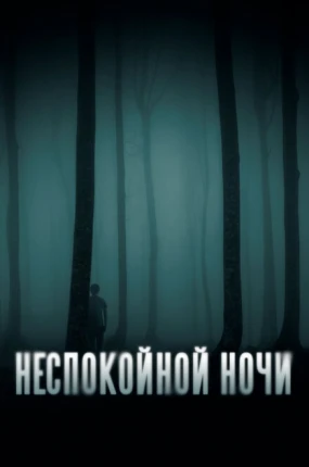 Неспокойной ночи